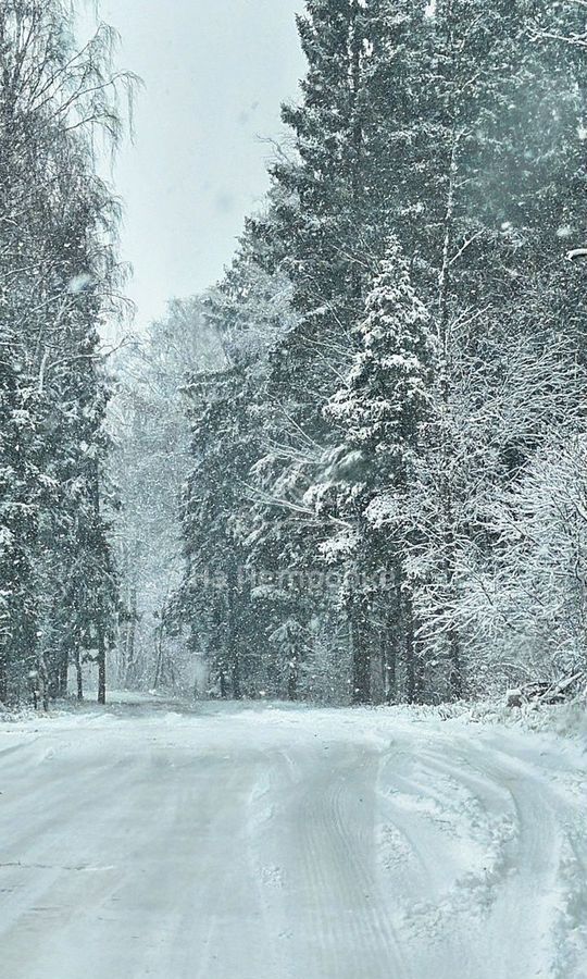 дом направление Ленинградское (северо-запад) ш Ленинградское 16 км, коттеджный пос. Новые земли, 172, Химки фото 10