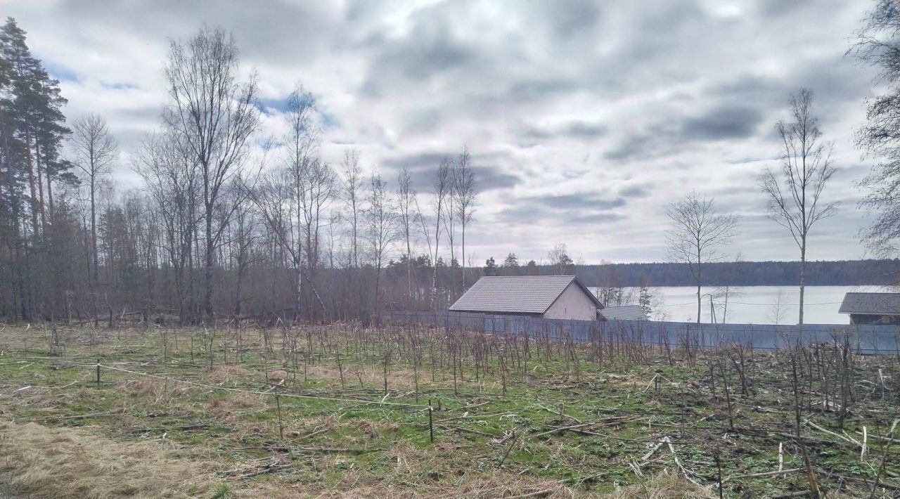 земля р-н Выборгский п Мысовое Приморское городское поселение фото 1