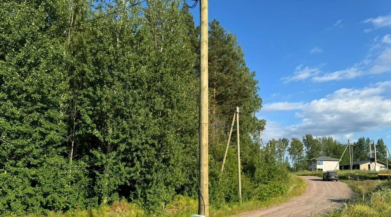 земля р-н Приозерский п Сосново ул Сосновская Сосновские Горки кп, Парнас фото 3