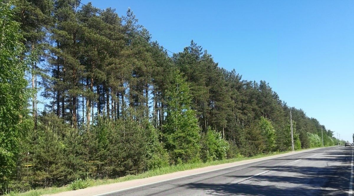 земля р-н Всеволожский г Всеволожск ш Южное Ладожская фото 4