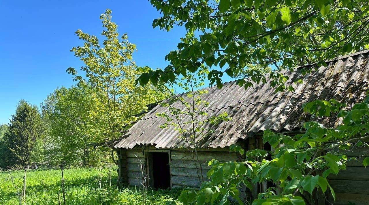 дом р-н Лужский д Островенка Толмачевское городское поселение, Проспект Ветеранов, 48 фото 8