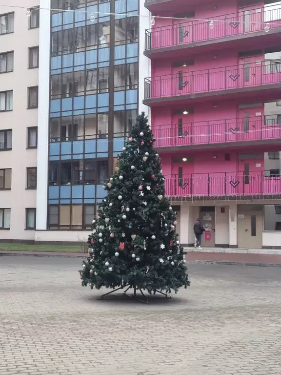 квартира г Санкт-Петербург метро Площадь Мужества ул Политехническая 6 Ленинградская область фото 18