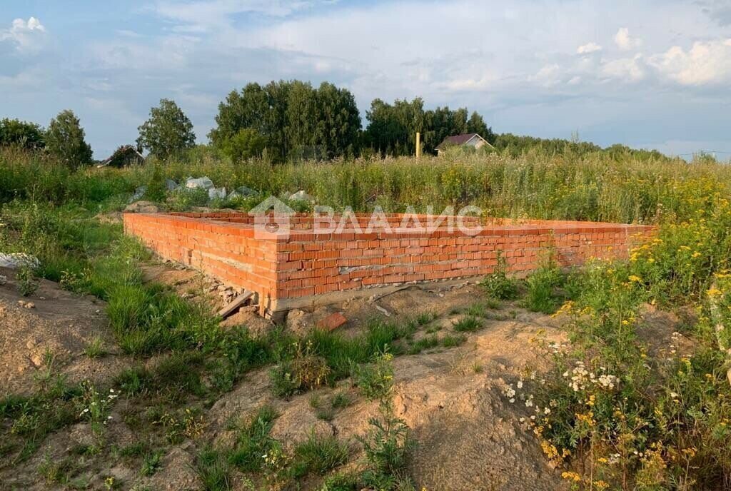 земля р-н Богородский д Крастелиха ул Первомайская фото 2