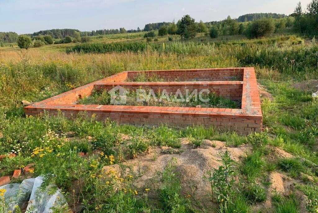 земля р-н Богородский д Крастелиха ул Первомайская фото 3