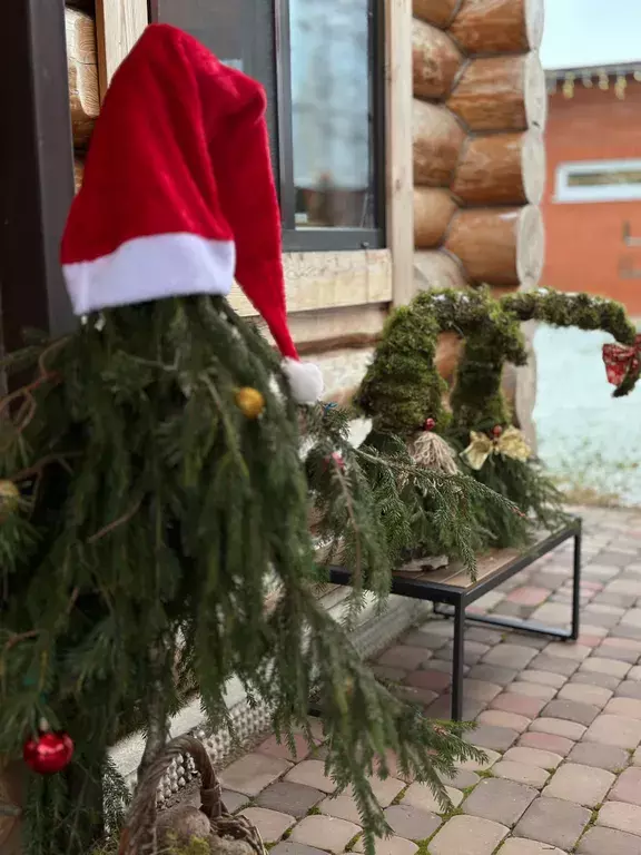 дом р-н Кингисеппский д Порхово ш Ямбургское 24 фото 2