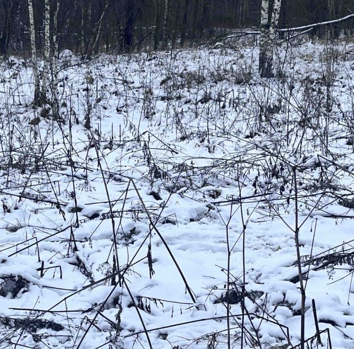 земля р-н Александровский Каринское муниципальное образование, Миланкино кп фото 4