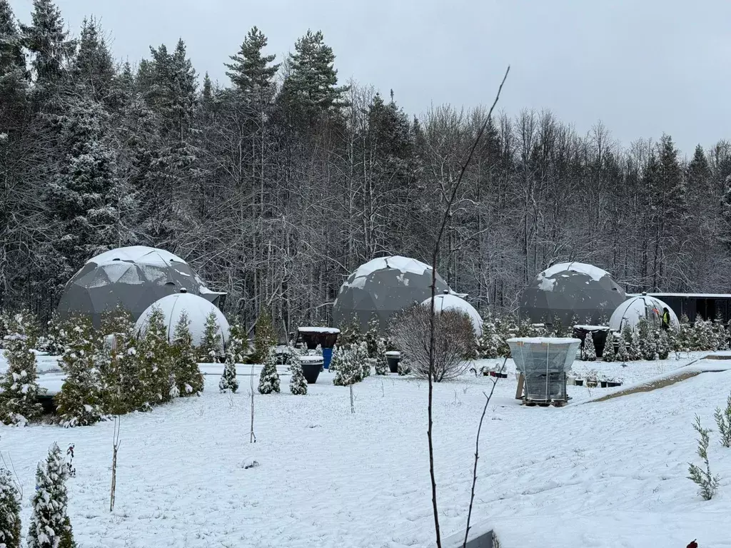 дом городской округ Солнечногорск д Поярково з/у 1Б, Химки фото 3