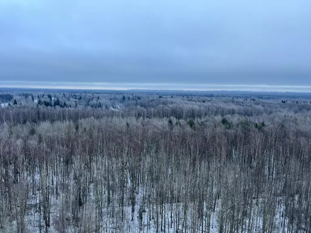 квартира г Санкт-Петербург метро Девяткино ул Пейзажная 24к/1 Ленинградская область фото 3