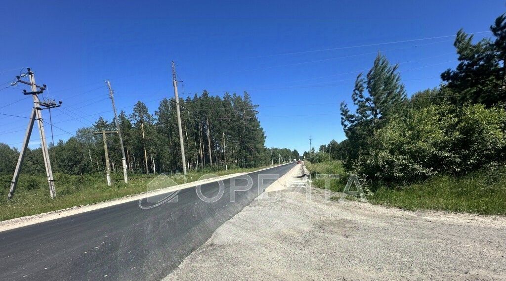 земля р-н Нижнетавдинский с Тюнево ул Летняя фото 3