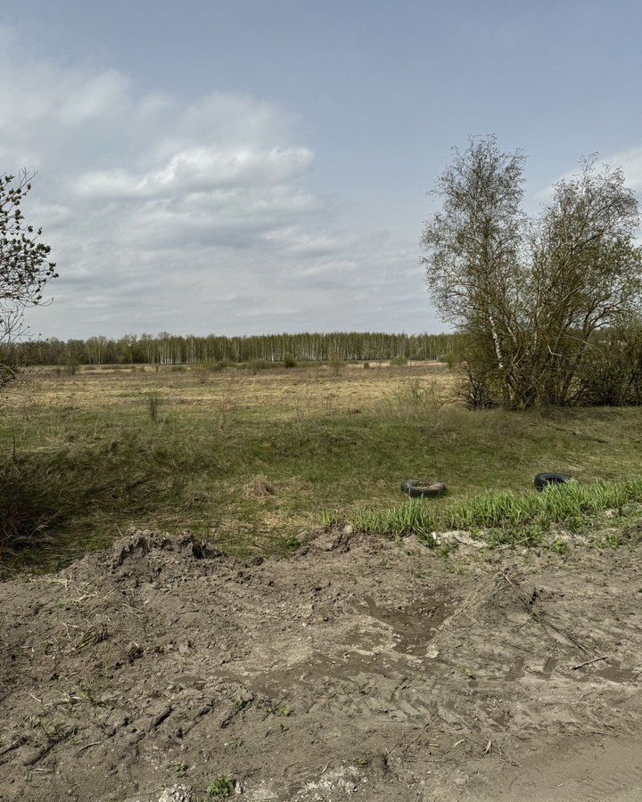 земля городской округ Воскресенск п Хорлово тер Промплощадка западная 14 68 км, Воскресенск, Новорязанское шоссе фото 3