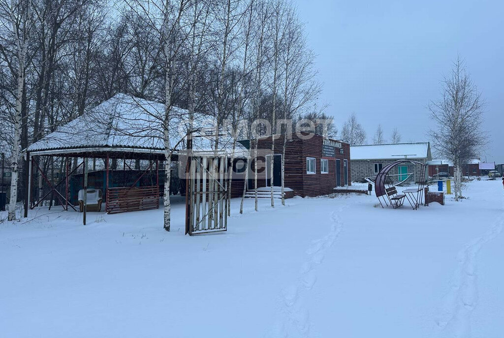 торговое помещение р-н Завьяловский с Совхозный ул Трактовая 1 фото 4