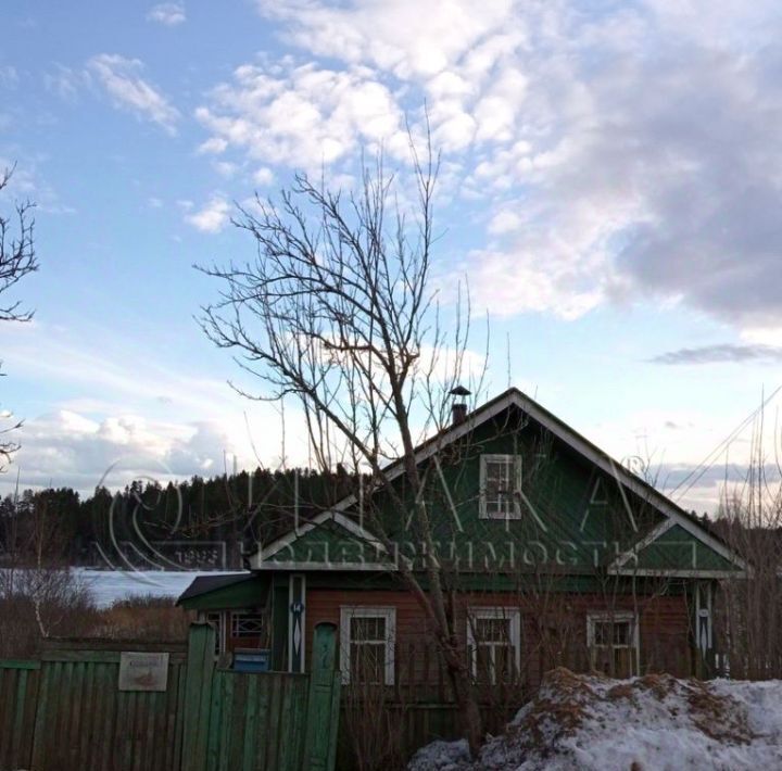 дом р-н Бокситогорский Ефимовское городское поселение, Ефимовский городской поселок, ул. Красноармейская, 14 фото 4