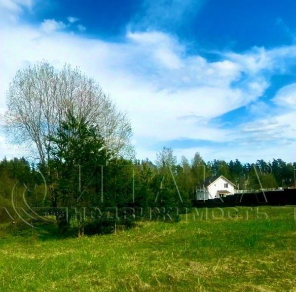 земля р-н Выборгский п Малышево Приморское городское поселение фото 4