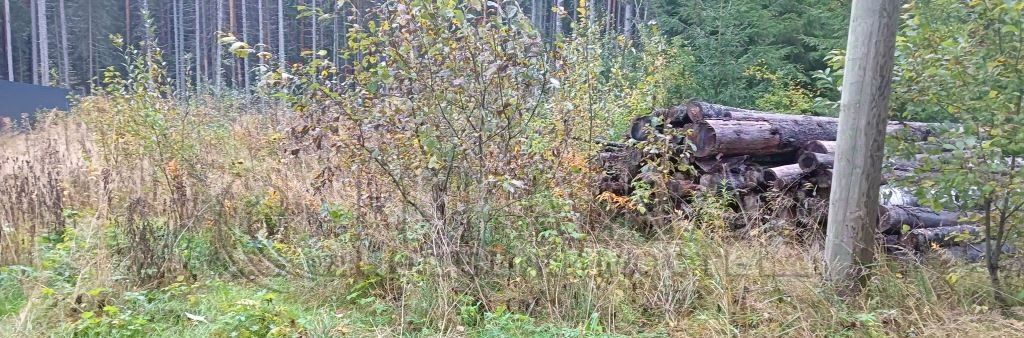 земля р-н Лодейнопольский п Свирьстрой ул Озерки-2 11 Свирьстройское городское поселение фото 2