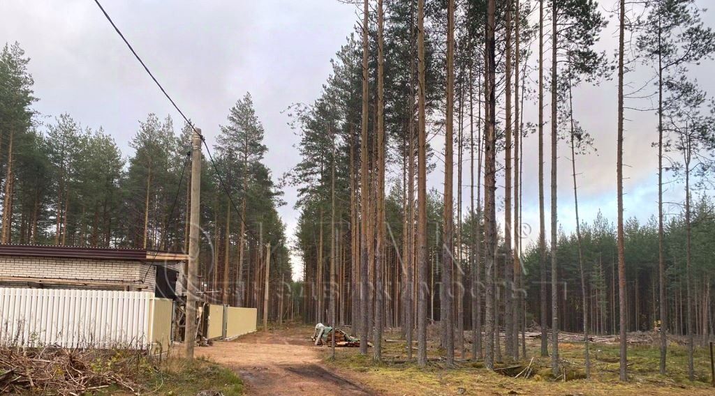 земля р-н Лодейнопольский г Лодейное Поле р-н мкр Каномский 1 фото 4