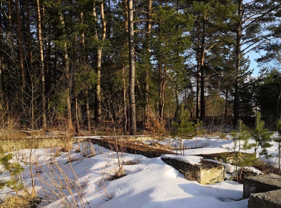 земля р-н Дзержинский с Дворцы ул Лесная 4 фото 3