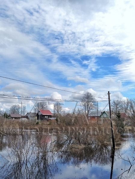 земля р-н Волосовский д Реполка ул Большая 40 Рабитицкое с/пос, Автово фото 21