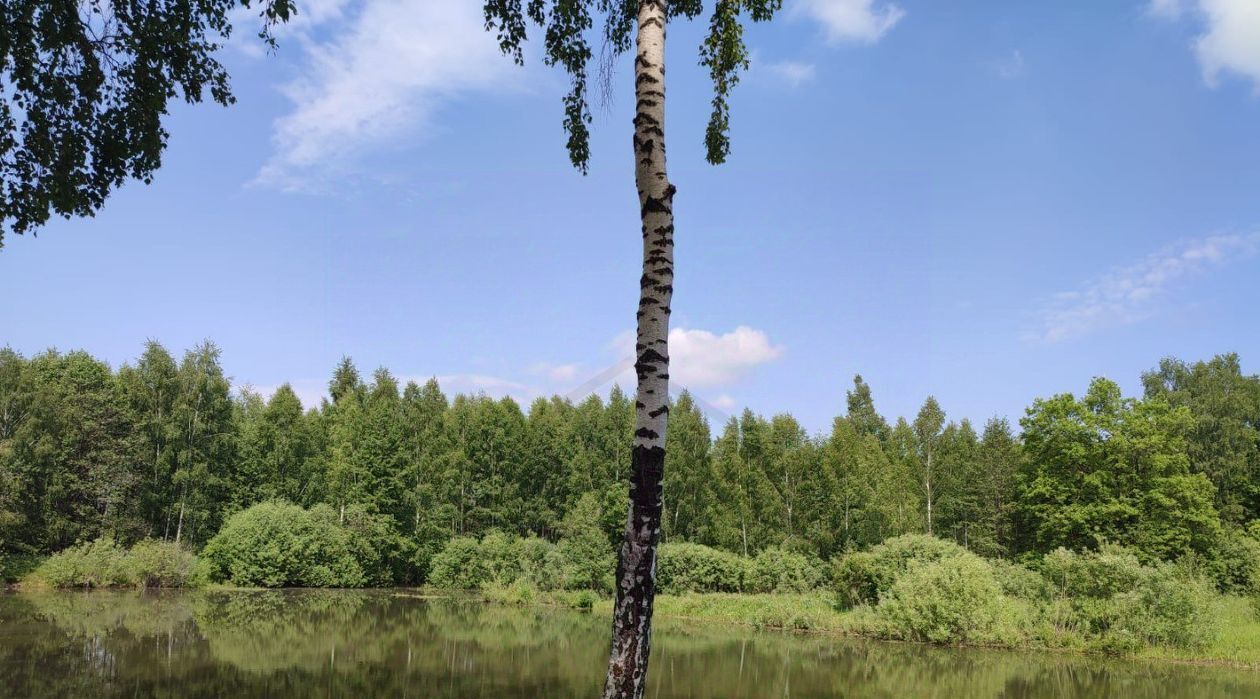 дом р-н Ферзиковский с Грабцево Деревня Горневская сл фото 17