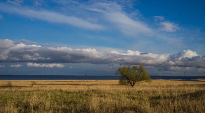 земля р-н Шпаковский п Приозерный ул Молодежная Ставрополь фото 1