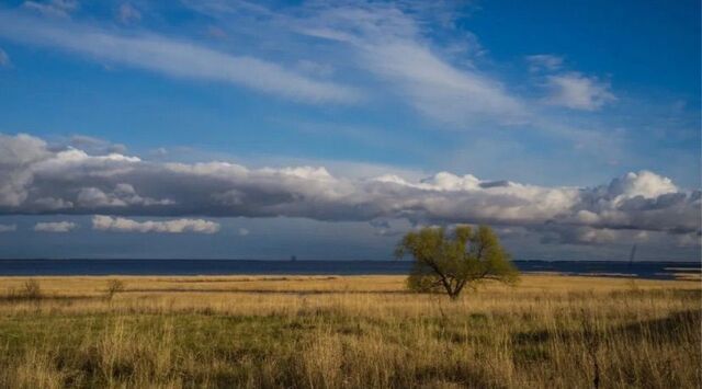 ул Молодежная Ставрополь фото