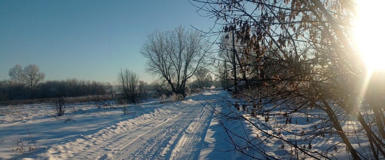 земля р-н Черепановский с Ярки ул Заречная 11 Майский сельсовет фото 3