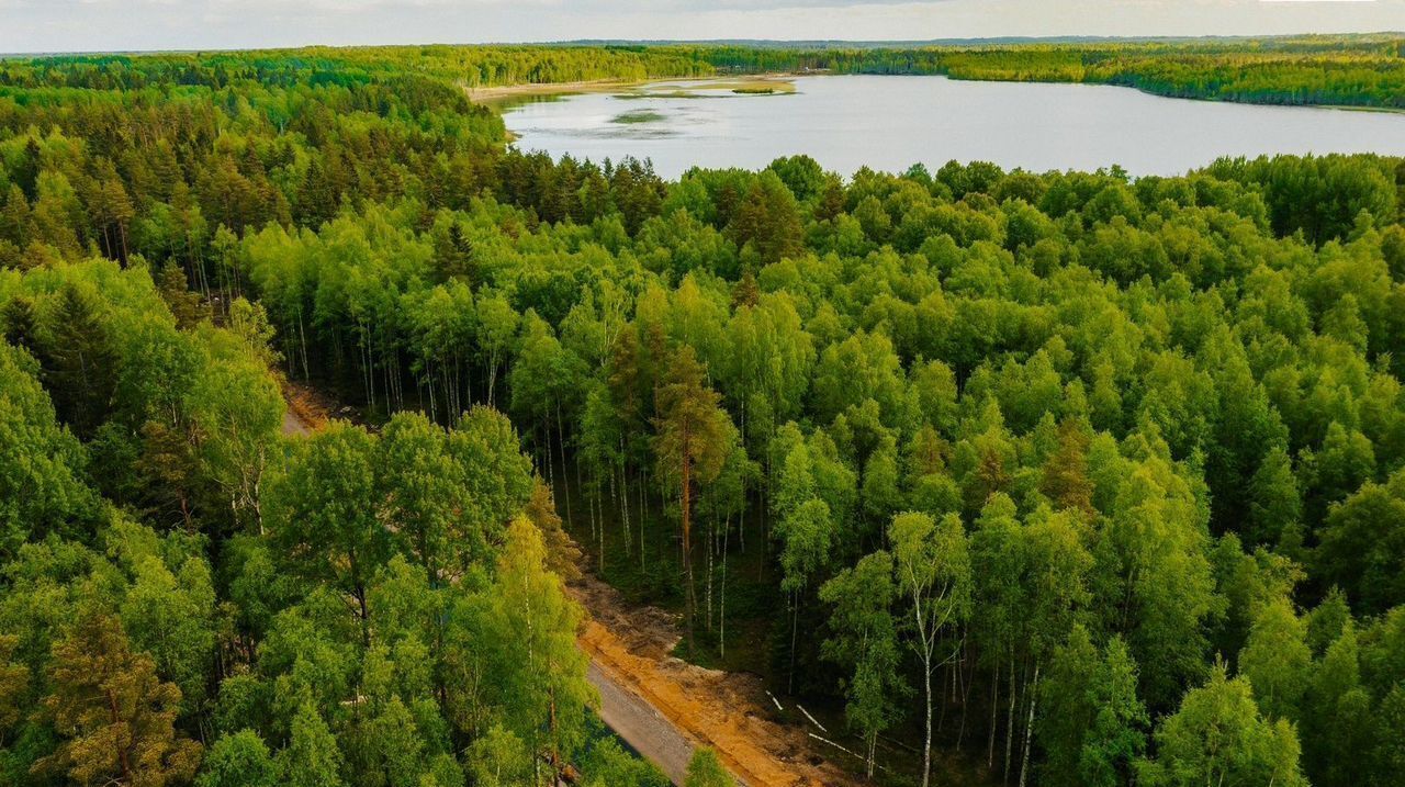 земля р-н Всеволожский 22 км, Всеволожский р-н, Токсовское городское поселение, коттеджный пос. Экофорест, Токсово, Ленинградское шоссе фото 1