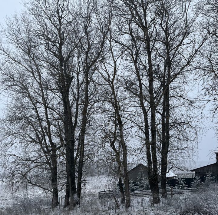 дом городской округ Рузский д Скирманово ул Васильковая 7 фото 18