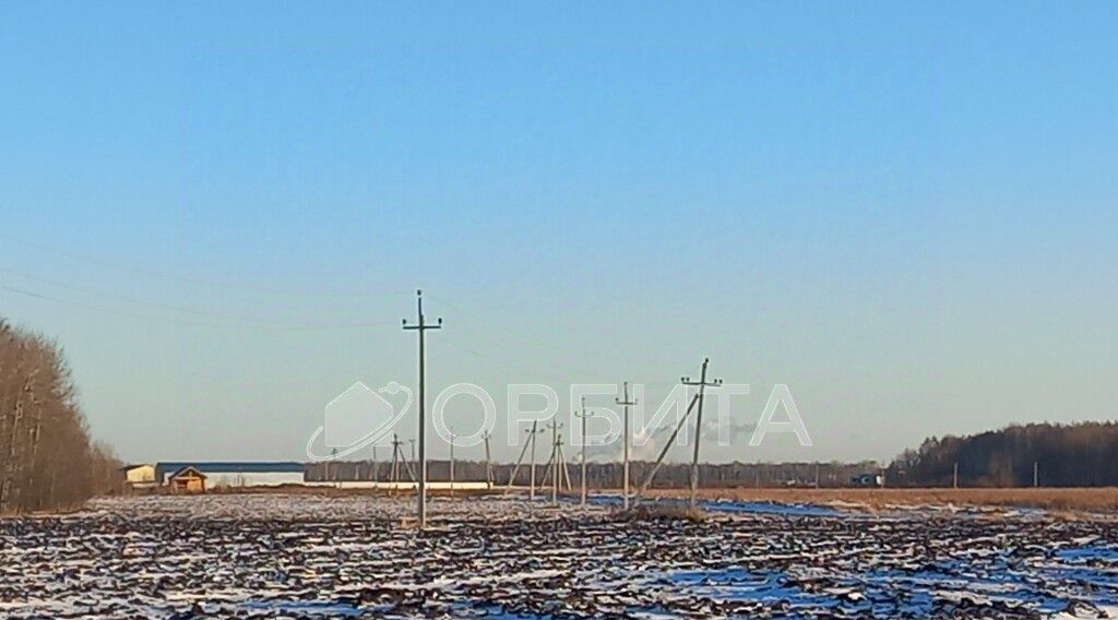 земля р-н Тюменский с Горьковка фото 1