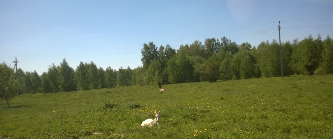 дом р-н Красносельский д Гомониха Боровиковское с/пос фото 6