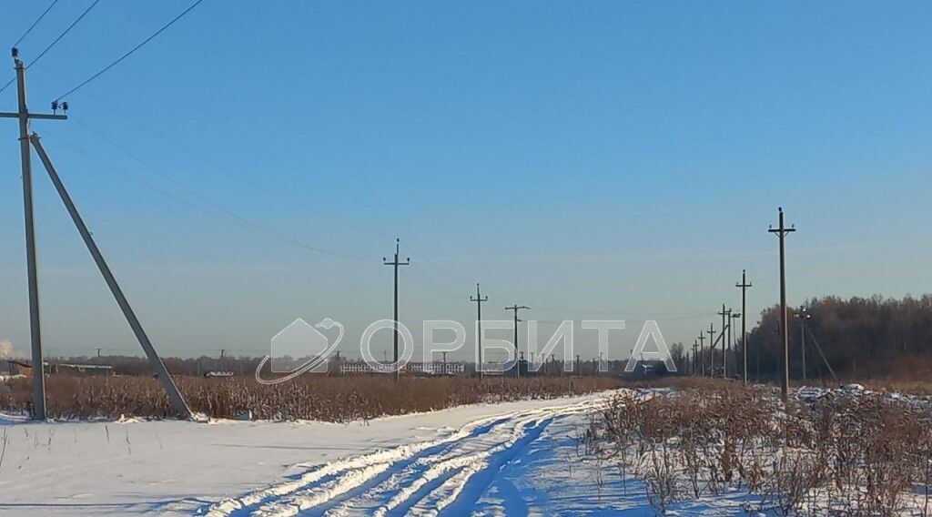 земля р-н Тюменский с Горьковка фото 11