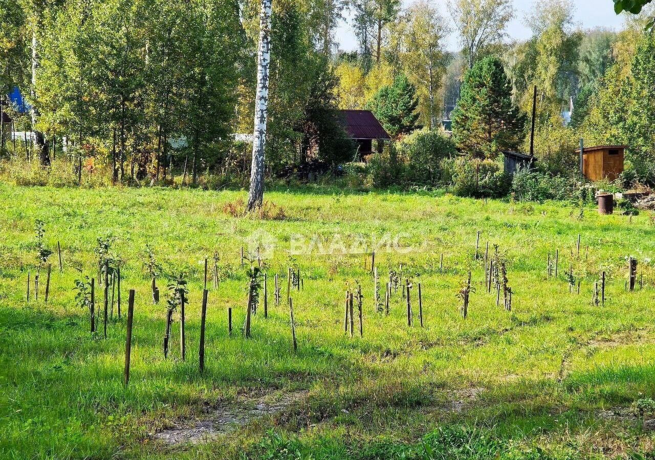 земля р-н Новосибирский снт Вера Барышевский сельсовет, Новосибирск фото 16