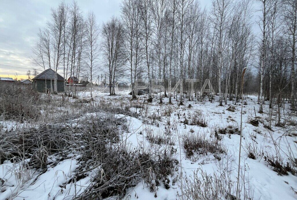 земля р-н Нижнетавдинский снт Сочинские фото 1