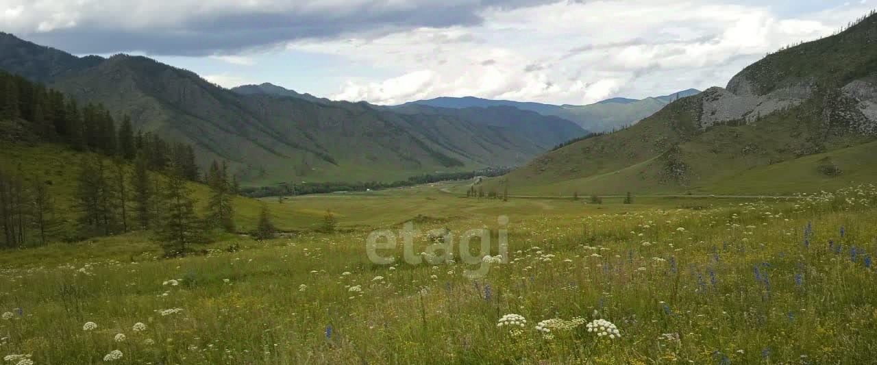 земля р-н Онгудайский с Хабаровка фото 1