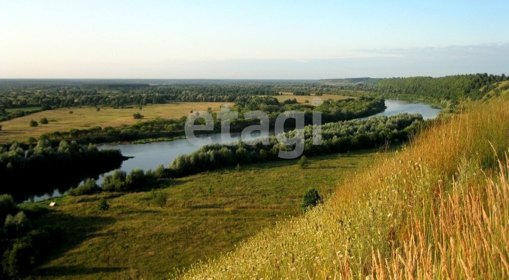 дом р-н Выгоничский с Лопушь ул Деснянская фото 5