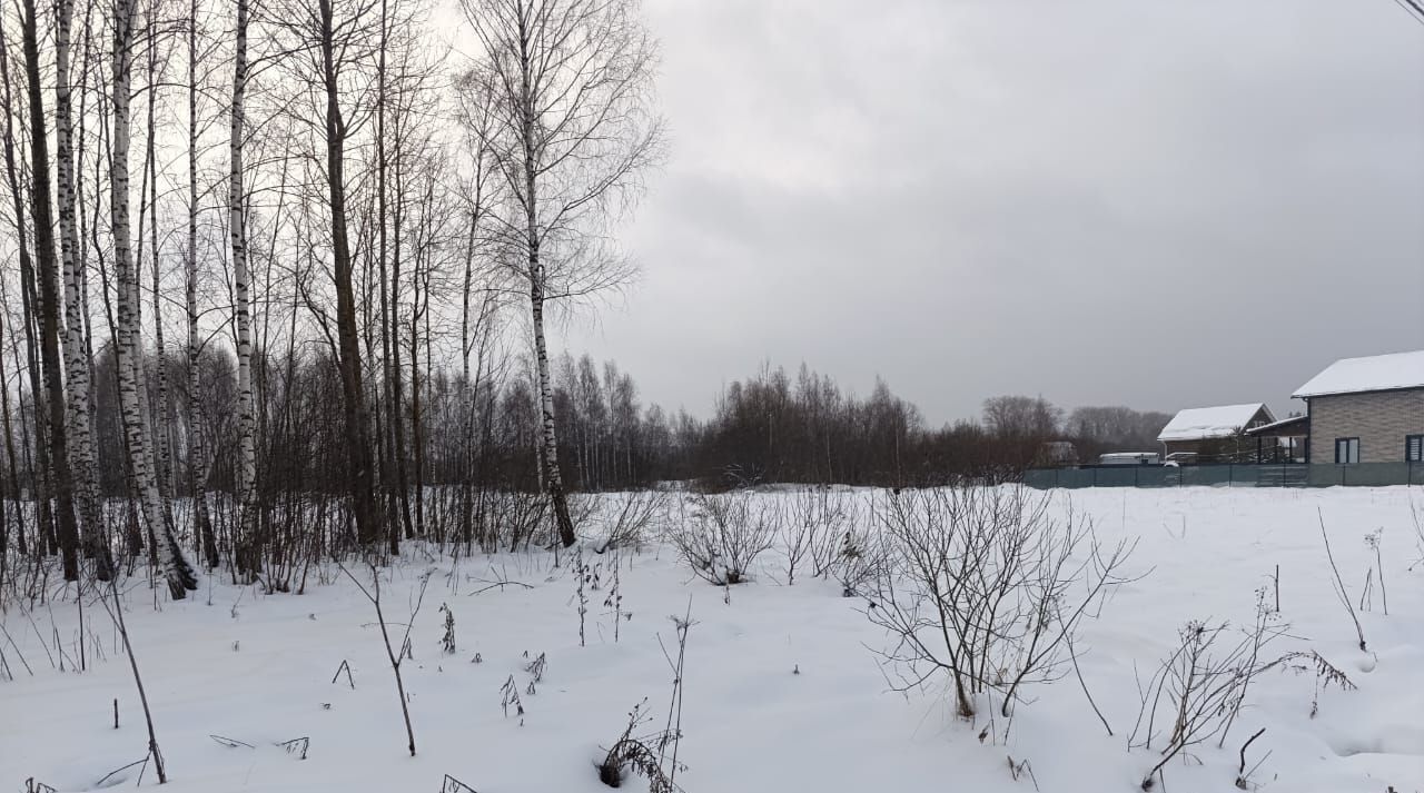 земля городской округ Можайский д Кукарино ул Художников Гороховых фото 8