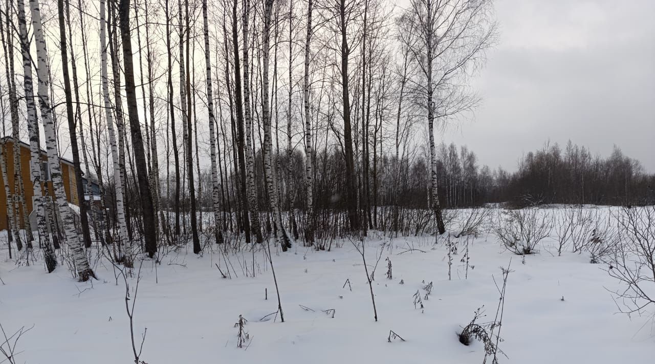 земля городской округ Можайский д Кукарино ул Художников Гороховых фото 7