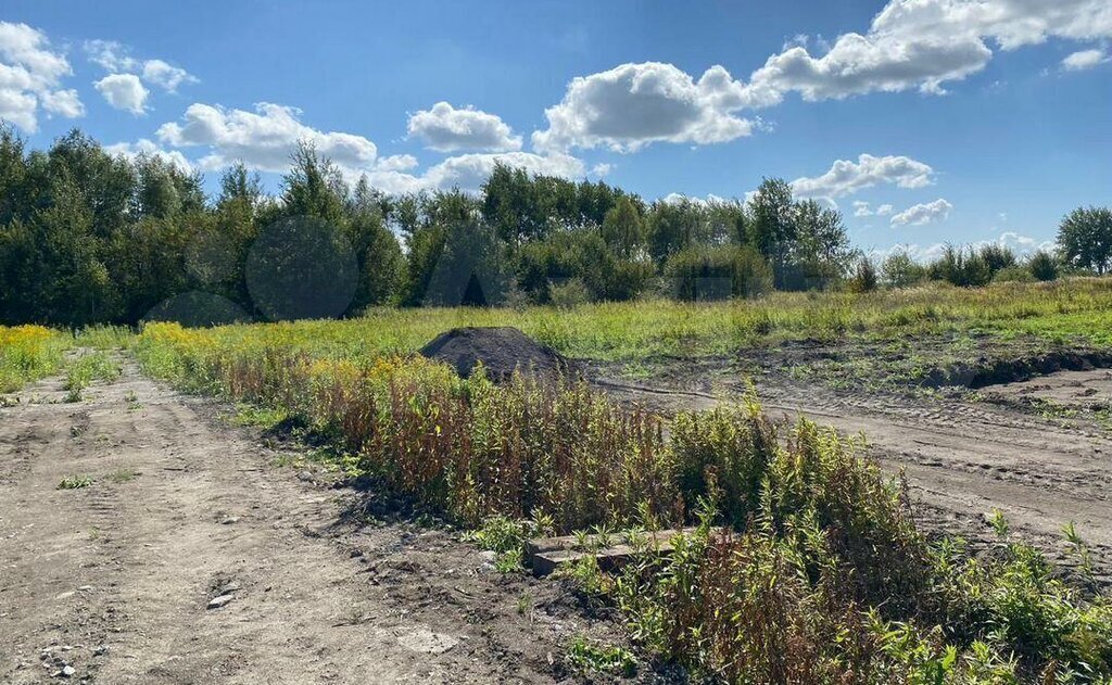 земля р-н Гурьевский п Шоссейное фото 1