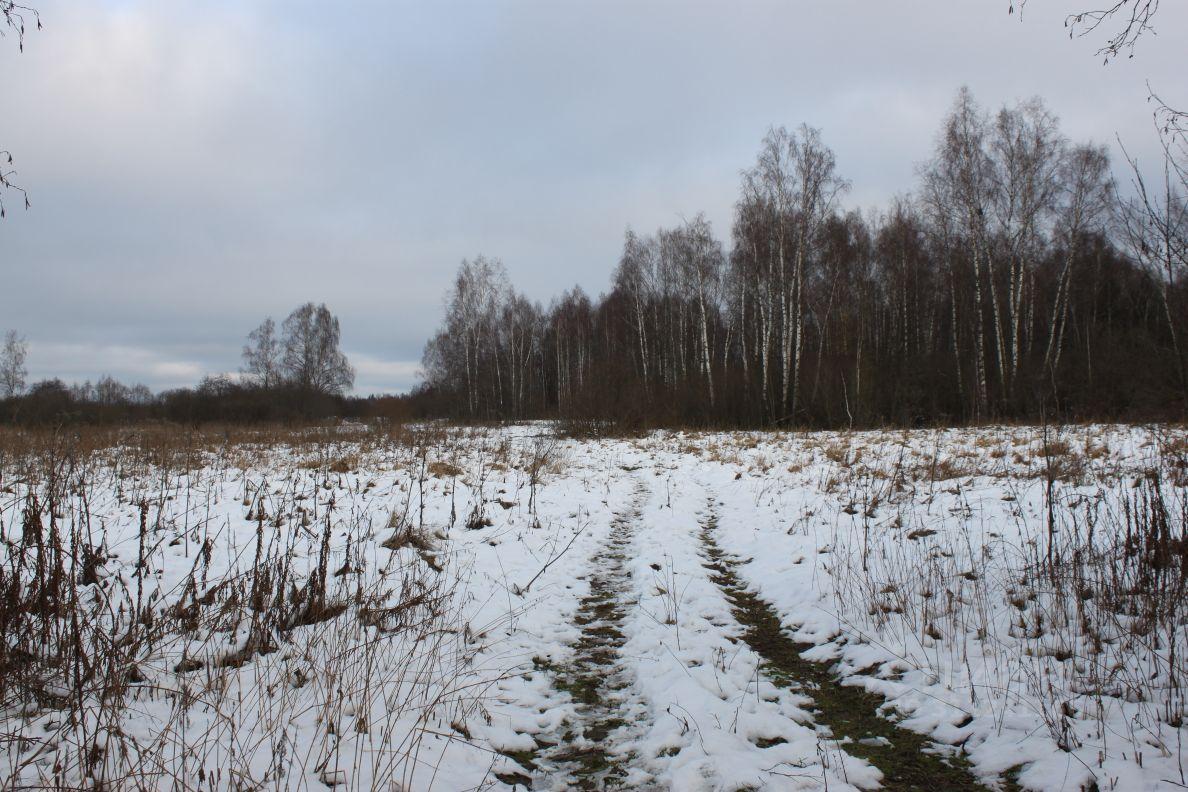 земля городской округ Истра п Глебовский Торлопово, 104, городской округ Истра фото 6