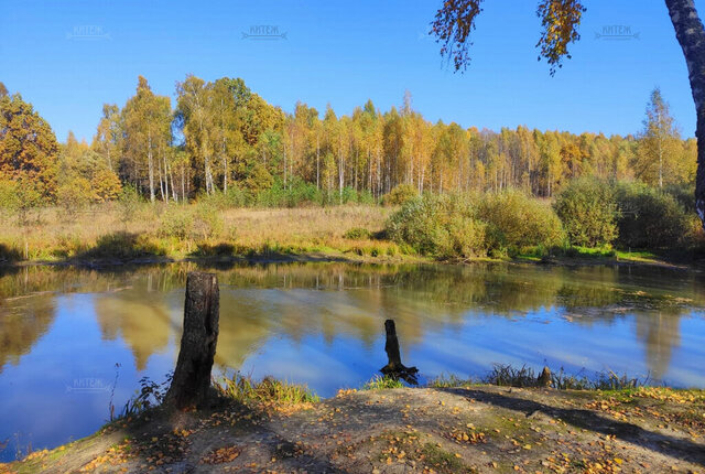 ул Непокорённых Ленинградцев 43/6 фото