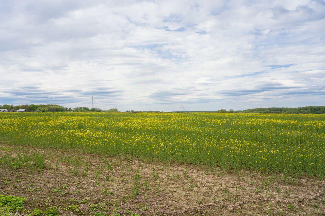 земля городской округ Сергиево-Посадский п Реммаш Кузьмино, 10 фото 1