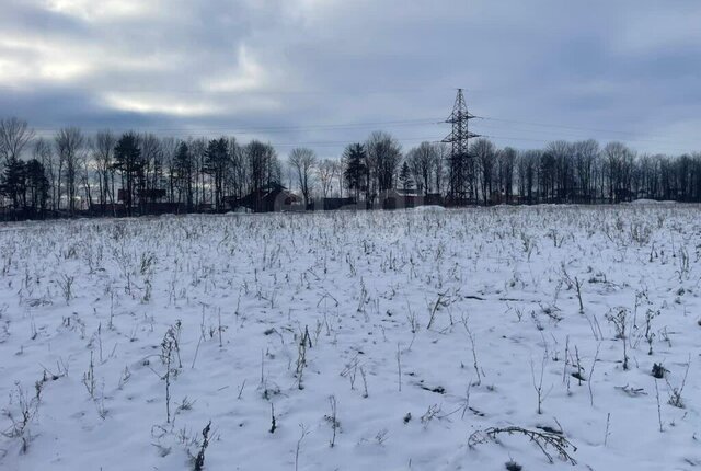 с Берсеневка Берсеневское сельское поселение фото