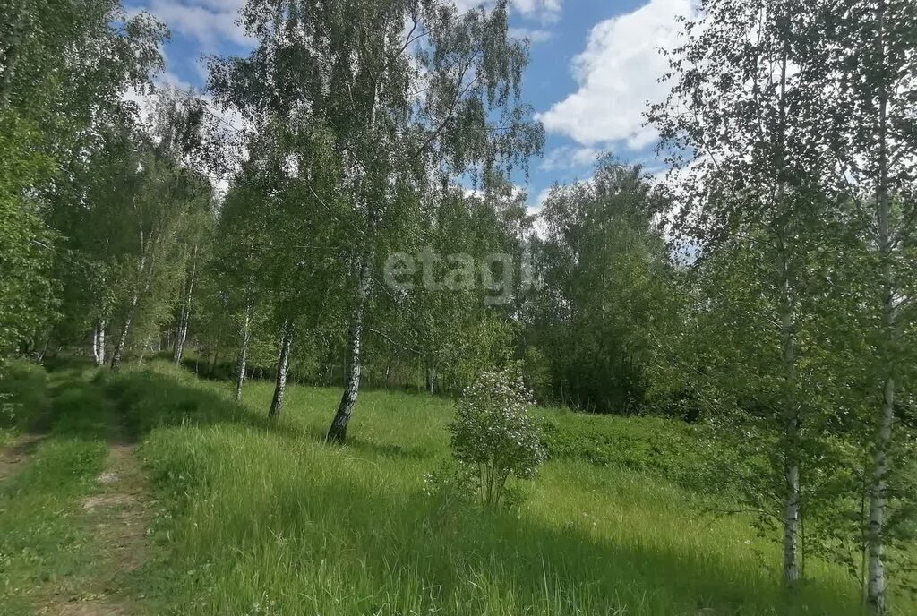 дом р-н Богородицкий п Бегичевский ул Октябрьская Бегичевское сельское поселение фото 14