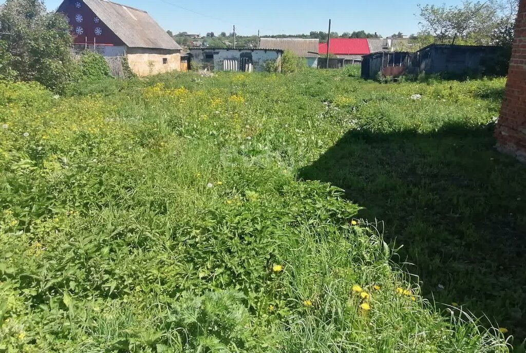 дом р-н Богородицкий с Черняевка сельское поселение Иевлевское фото 20