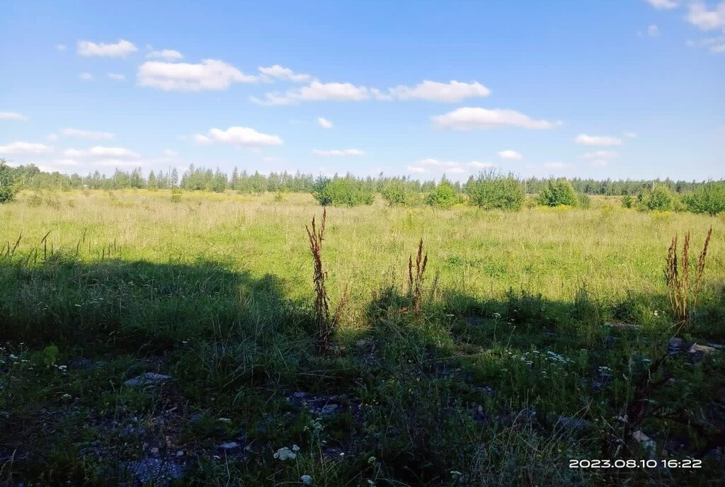 земля р-н Богородицкий г Богородицк ул Стадионная городское поселение Богородицк фото 4