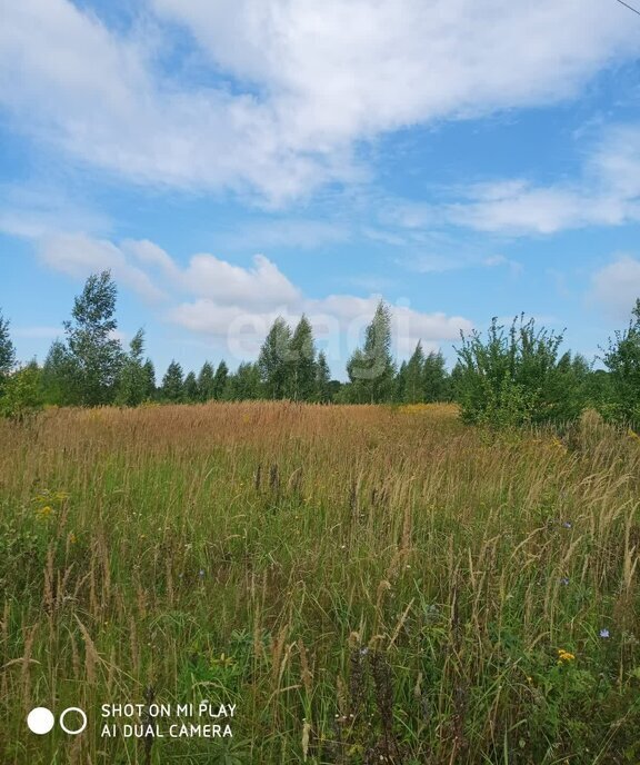 земля р-н Богородицкий х Шахтерский сельское поселение Бегичевское фото 2