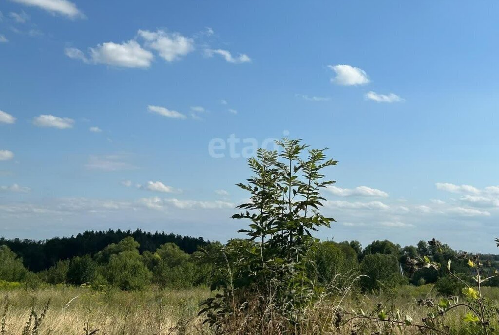 земля р-н Богородицкий г Богородицк ул Стадионная городское поселение Богородицк фото 3