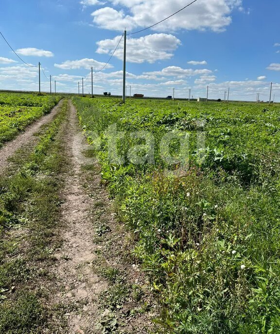 земля р-н Новомосковский с Гремячее муниципальное образование, Новомосковск фото 2