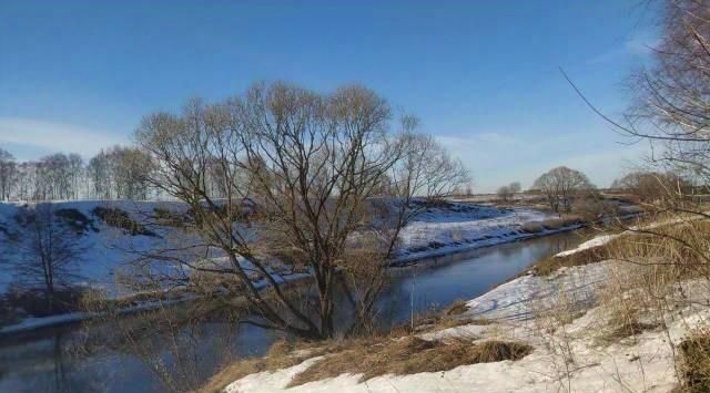 земля городской округ Раменский д Васильево фото 2