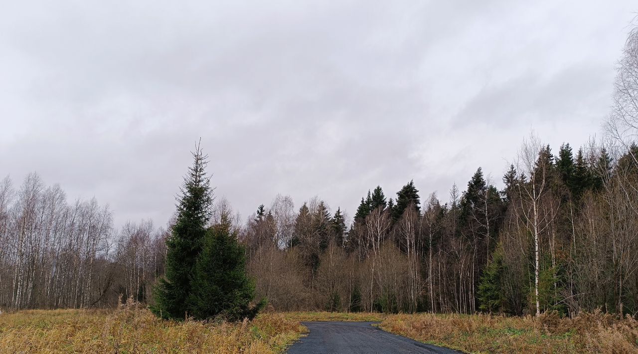 земля городской округ Сергиево-Посадский Яркое кп фото 10