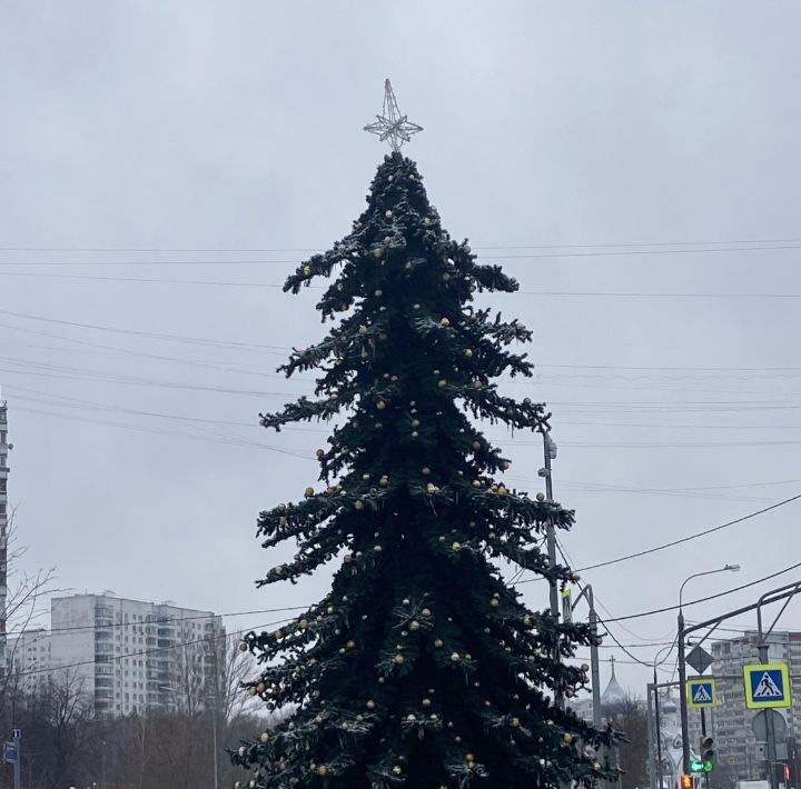 квартира г Москва метро Зябликово проезд Гурьевский 35/58 муниципальный округ Орехово-Борисово Южное фото 30